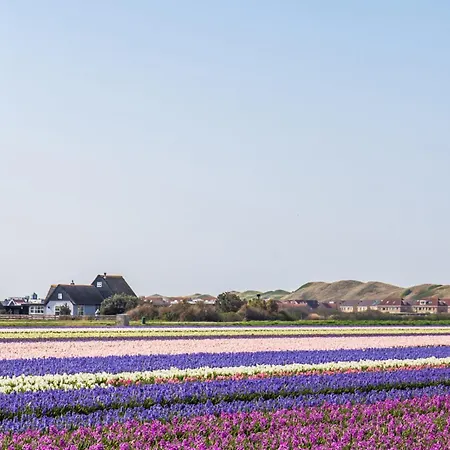 Schaut - Villapark De Buitenplaats Aan Zee
