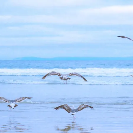 別荘 Schaut - Villapark De Buitenplaats Aan Zee カラントスウオーフ